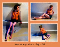 Erica Composite 1 -de sat orange