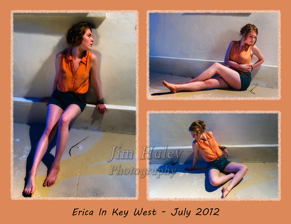 Erica Composite 1 -de sat orange